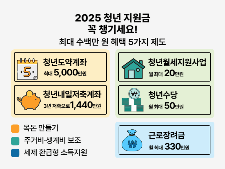 복지 전문가가 선정한 2025년 청년 지원금 Top 5 혜택 요약 인포그래픽