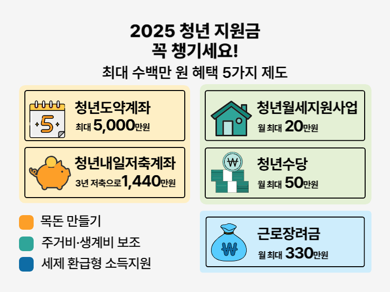 복지 전문가가 선정한 2025년 청년 지원금 Top 5 혜택 요약 인포그래픽
